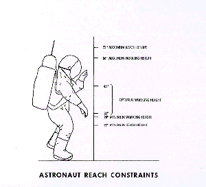 Sketch of an astronaut's reach constraints.