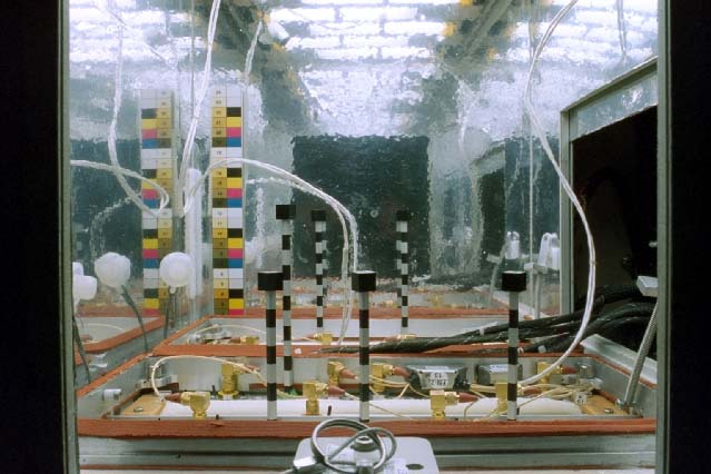 Interior view greenhouse on board Mir (Svet).