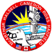 STS-74 patch